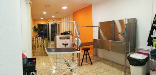Dog & Family | Peluqueria para perros en Abrera