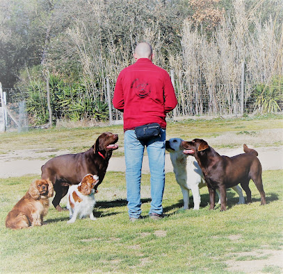 Animanimal | Adiestradores de perros en Franciac