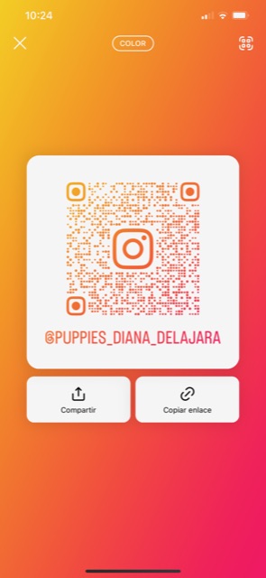 Diana de La Jara | Adiestradores de perros en Padul