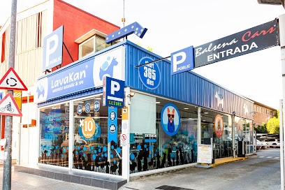 Lavakan Manresa | Peluqueria para perros en Manresa