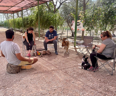 Club Natural Trail | Adiestradores de perros en Murcia