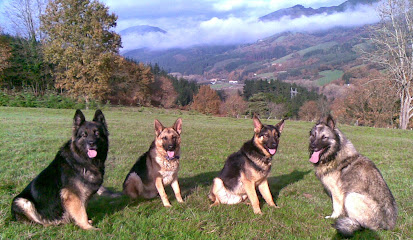 Kadagua | Guardería para perros en Gordexola