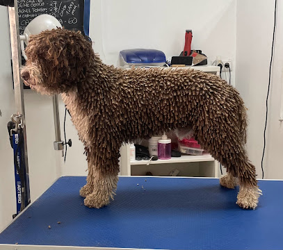 Gran Can | Peluqueria para perros en Algeciras