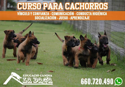 La Daga | Guardería para perros en Sidamon