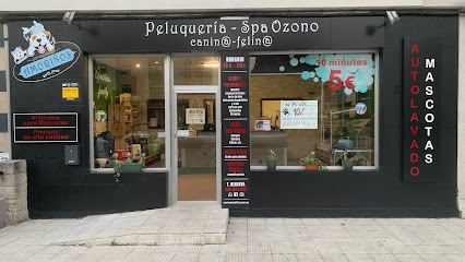 Amoriños | Peluqueria para perros en Pontevedra