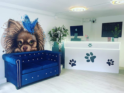 Perro Feliz | Guardería para perros en Gijon