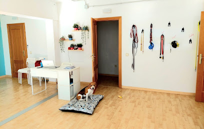 La Petucasa Guarderia Canina | Guardería para perros en Madrid