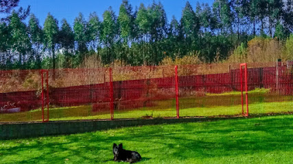 Red Garden | Guardería para perros en Igrexario