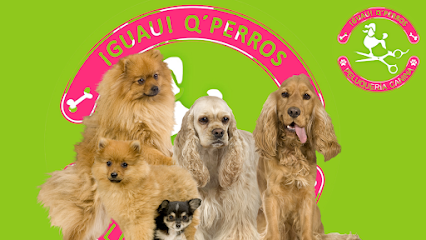 ¡Guau! Q´ Perros | Peluqueria para perros en Madrid