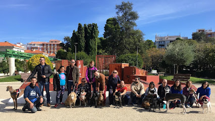 Perruneando | Adiestradores de perros en Granada