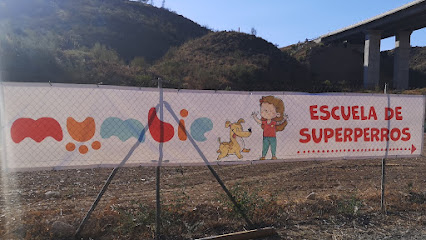 Mumbie | Adiestradores de perros en La Cala del Moral