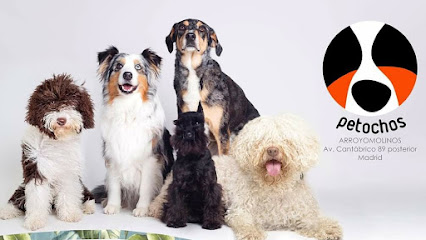 Petochos | Peluqueria para perros en Arroyomolinos