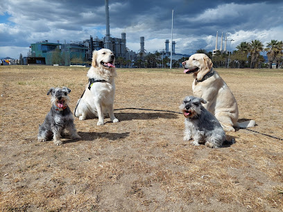 Perros & CIA | Adiestradores de perros en Barcelona