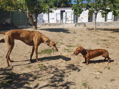 Hotel HappyPet | Guardería para perros en Manilva