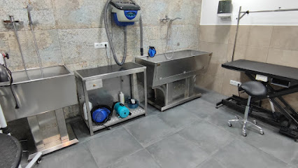 Selvatics | Peluqueria para perros en Moncada y Reixach