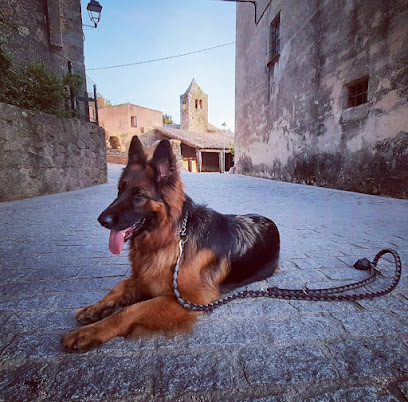 Borgescan | Guardería para perros en Les Borges Blanques