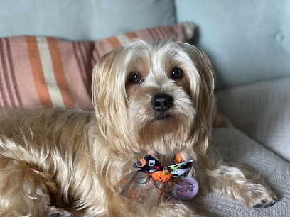 Carla Garcia | Peluqueria para perros en Mojácar
