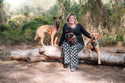 Mas Que Amigos | Adiestradores de perros en Tarazona