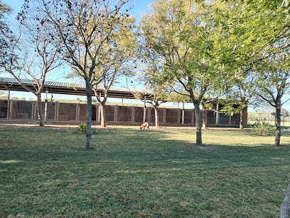 La Ventosilla | Guardería para perros en Utrera