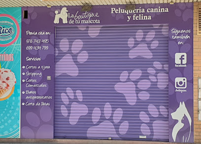 La Boutique de Tu Mascota | Peluqueria para perros en Zaragoza