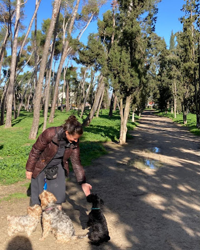 Maestra Canina | Adiestradores de perros en Las Rozas de Madrid