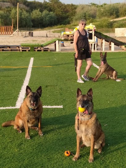 Malisharp | Adiestradores de perros en Aspe