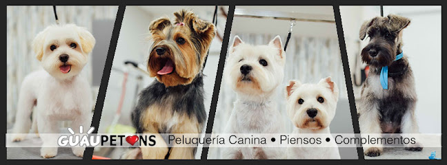 Guaupetons | Peluqueria para perros en Mataró