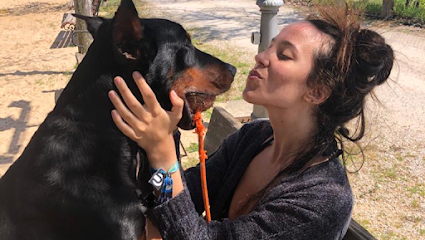Centro Canino | Adiestradores de perros en Brunete