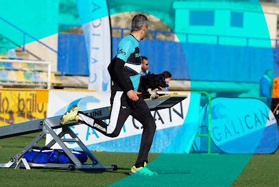 Agility Pawer | Barrio La Magdalena