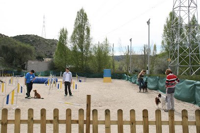 FormaDog | Adiestradores de perros en Arganda del Rey