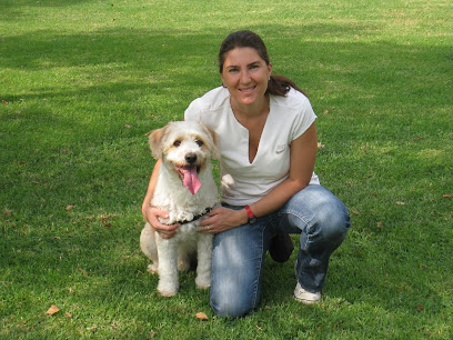 Adiestracor | Adiestradores de perros en Córdoba