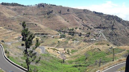 Bracos | Guardería para perros en Cruz de Tejeda