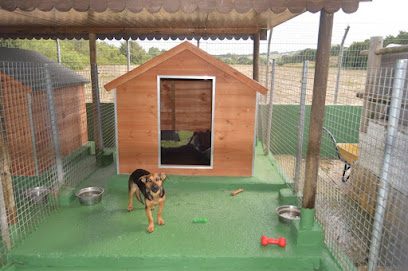 Cozy Kennels S.L | Guardería para perros en San Roque
