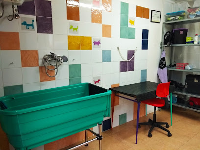 Mar | Peluqueria para perros en Llanes