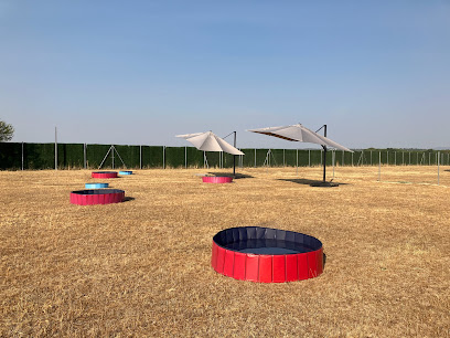 Camping Dog | Fuente el Saz de Jarama
