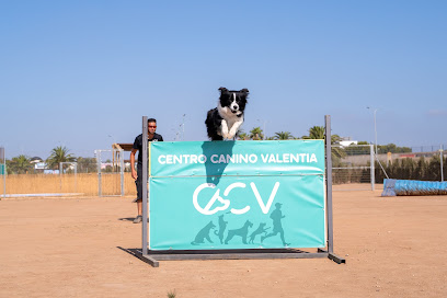Centro Canino Valentia | Adiestradores de perros en Aldaia