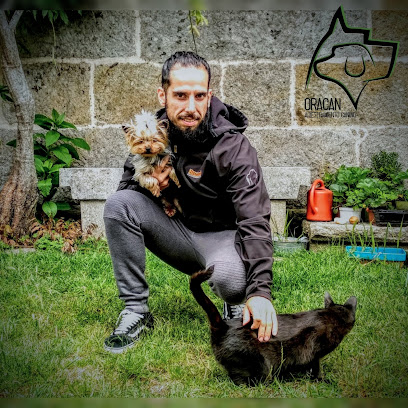 Oracan | Adiestradores de perros en Vigo