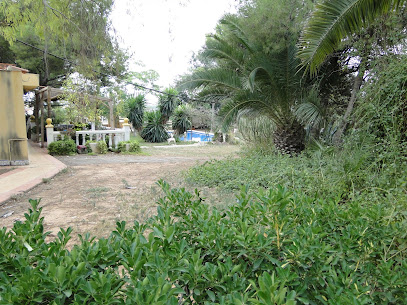 Camp de Turia | Guardería para perros en Benisano