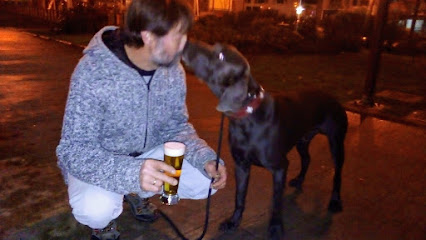 Lucuscan | Adiestradores de perros en Lugo