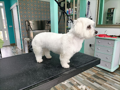 Isis | Peluqueria para perros en Chipiona