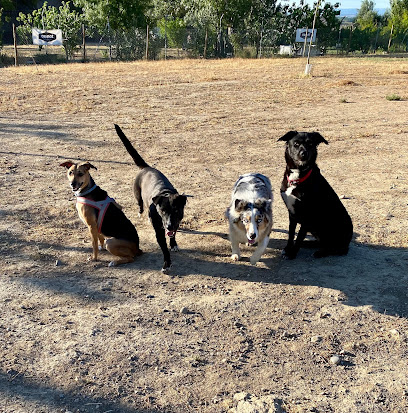 ANKORA | Adiestradores de perros en Alcoletge