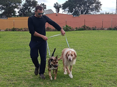 La Escuela | Guardería para perros en Los Barrios