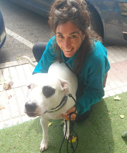 Educadora Canina | Adiestradores de perros en Mejorada del Campo