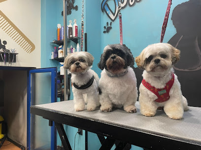 Doggy Doggy | Peluqueria para perros en Logroño