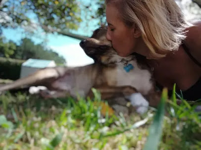 Lolitos Cuidado Canino | Guardería para perros La Coruña