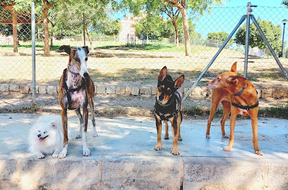 Creciendo Juntos | Guardería para perros en Málaga