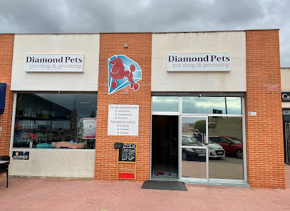 Caniche Toy | Peluqueria para perros en San Fulgencio