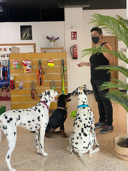 Pampols Academy | Adiestradores de perros en Cocentaina