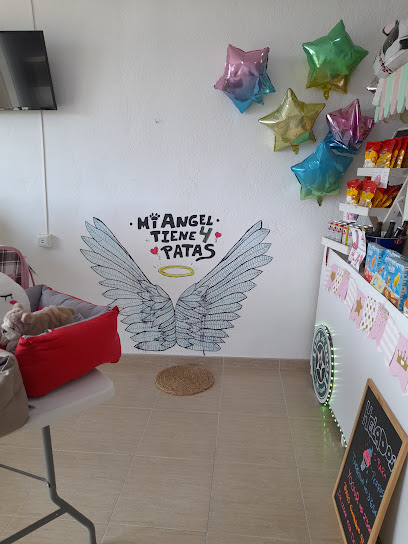 Star Dogs Vinaros | Vinaròs