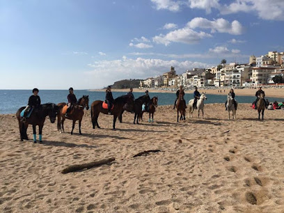 Rancho Bonanza | Adiestradores de perros en Calella